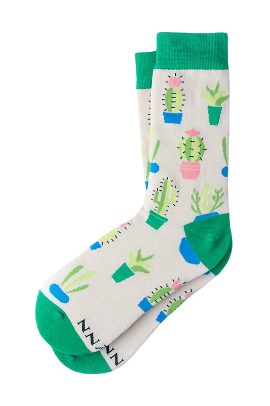 Women's Succy Navy Beige Sock